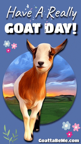 Good Day Pets GIF by Goatta Be Me Goats! Adventures of Java, Toffee, Pumpkin and Cookie!