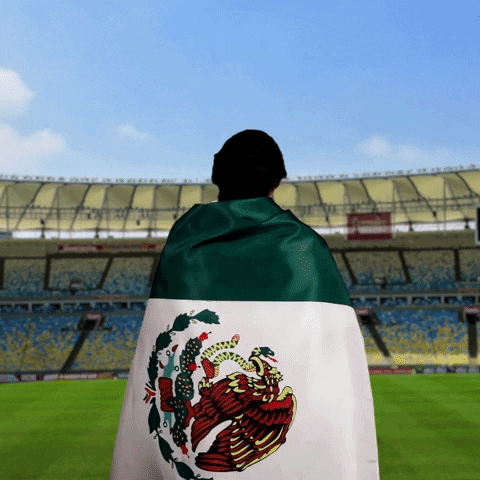 Viva Mexico Thumbs Up GIF by World Cup