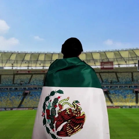 Viva Mexico Thumbs Up GIF
