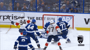 GIF by Florida Panthers