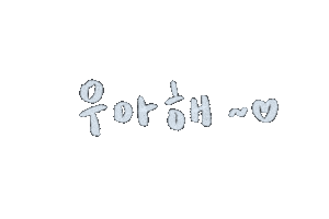 세븐틴 Carat Sticker