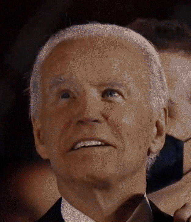 Happy Election 2020 GIF by Josh Rigling