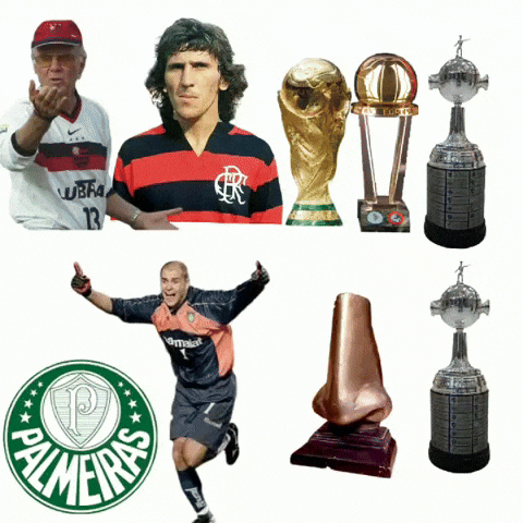 Zico Deyverson GIF