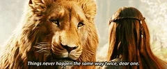 the witch narnia GIF