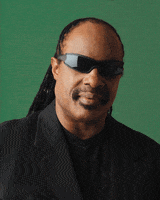 Stevie Wonder Deal With It GIF