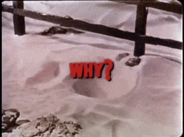 Text gif. Vintage background from Invaders From Mars consists of sand and a brown fence. In the center, bold, blocky red text reading, "WHY?" increases in size.