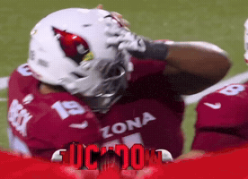 Arizona Cardinals Nfl GIF
