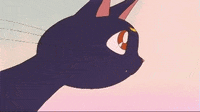 Best Sailor Moon Gifs Primo Gif Latest Animated Gifs