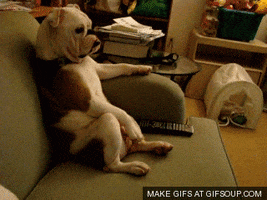 working from home chilling GIF