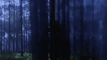 art faculty GIF by Florida State University