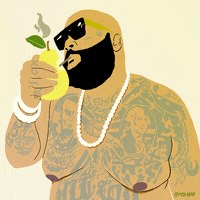 rick ross rap GIF by Animation Domination High-Def