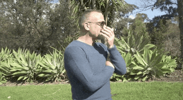 200.gif?cid=fc005b08a694532c4d3b1fb4d9375259dcdcb844accdea91&rid=200.gif&ct=g
