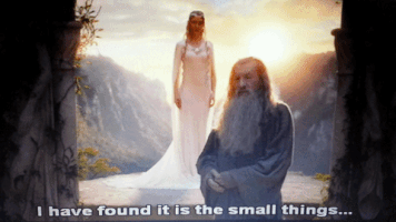 telltaleturtle love wisdom the hobbit gandalf GIF