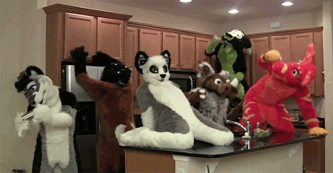 giphy.gif?cid=790b761111d3f7528e0764715b