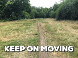 moving GIF by Stoneham Press