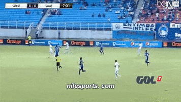 nilesports  GIF