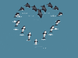 Digital art gif. A pod of orcas form a heart and they perform a staggered jump out of the water, making the heart ripple as they land back in the water.