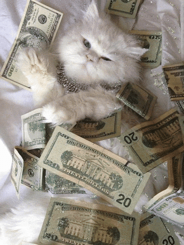 giphy.gif?cid=ecf05e477867d01dca2d8def60