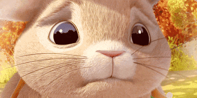 Kawaii gif. Close up on a bunny rabbit’s face. He shakes his head and lowers his ears. He looks like he’s about to cry. 