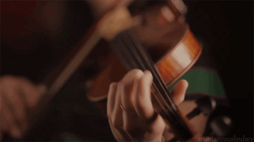 Violin GIF - Find & Share on GIPHY