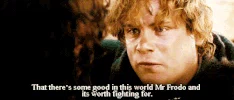 samwise gamgee GIF