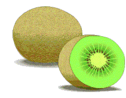 kiwi GIF