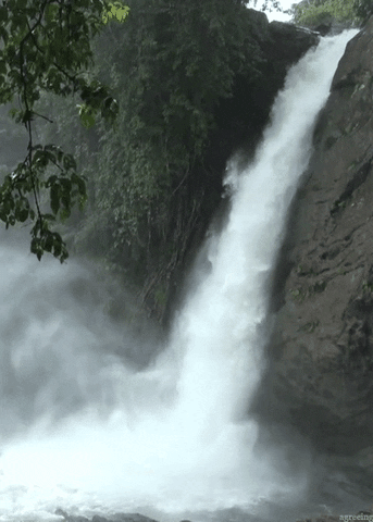 Waterfall GIFs - Get the best GIF on GIPHY