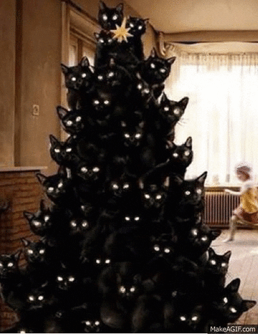 Christmas Tree Cat GIF