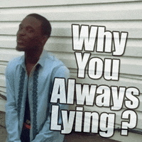 text why you always lying GIF