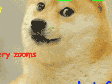 doge funny memes GIF doge funny memes GIF