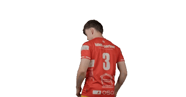 Sport Handball Sticker by HSC Radolfzell