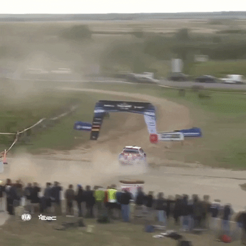 Car Oops GIF by FIA European Rally Championship