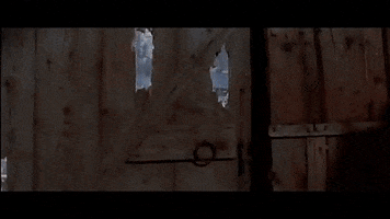 nobody  GIF