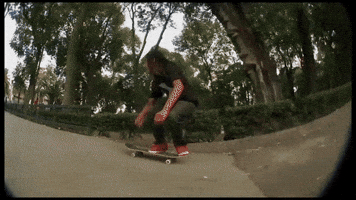 jorgemoralesmaima  GIF