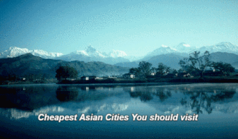 nghc  GIF