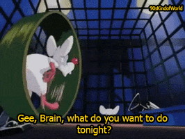 pinky and the brain want GIF