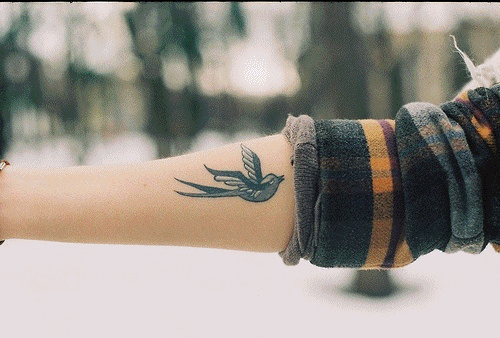 bird tattoos GIF