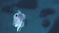 Blog Post Thumbnail