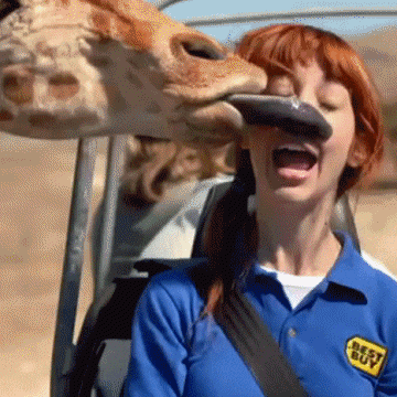 Sloppy Kiss GIFs - Get the best GIF on GIPHY