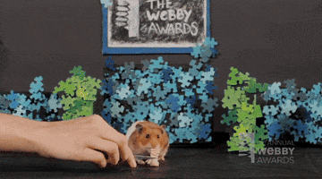 Hungry Hamster GIF by The Webby Awards