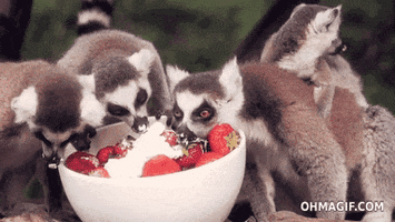 strawberries and cream eating GIF