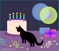 Happy Birthday Cat Gifs Get The Best Gif On Giphy