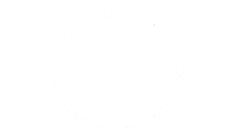 Show Concert Sticker by The Revivalists