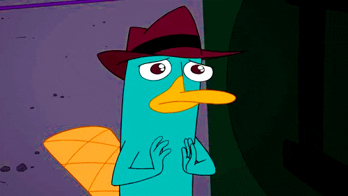 perry the 