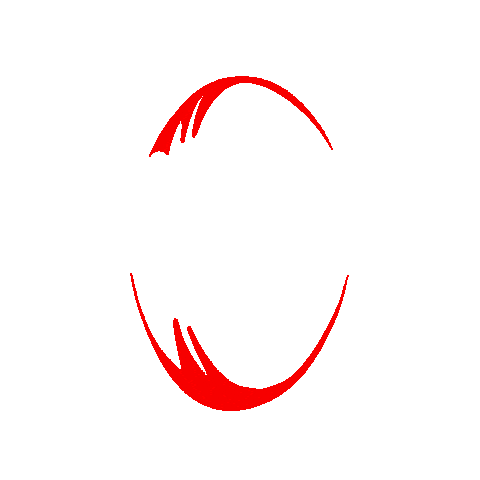 Coke Springboks Sticker by Grid Worldwide