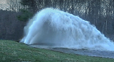 Water Hose GIFs - Get the best GIF on GIPHY