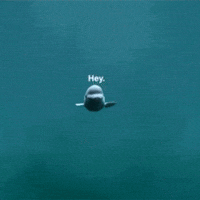 200w.gif?cid=3640f6095c5358c638544d574d1ad789