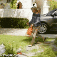 Funny-video GIFs - Get the best GIF on GIPHY