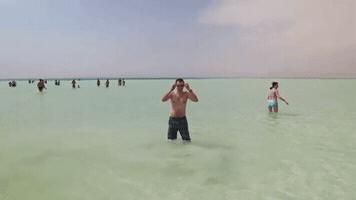 netp0bu4  GIF