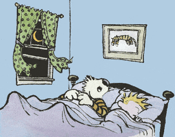 Illustrated gif. Calvin and Hobbes lay together in a big bed. Hobbes snores loudly and Calvin opens one his eyes, annoyed by his snoring. The window is open wide and the curtain move with the wind.